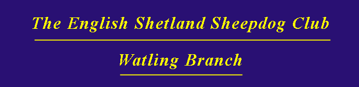 Shetland sheepdogs - Watling Header